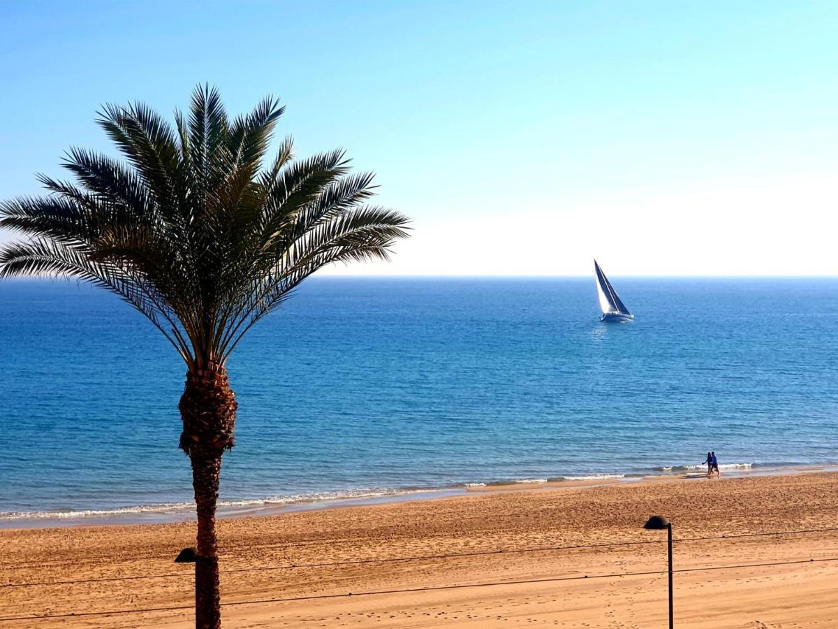 Jardin Playa San Juan Apartment Alicante Ngoại thất bức ảnh